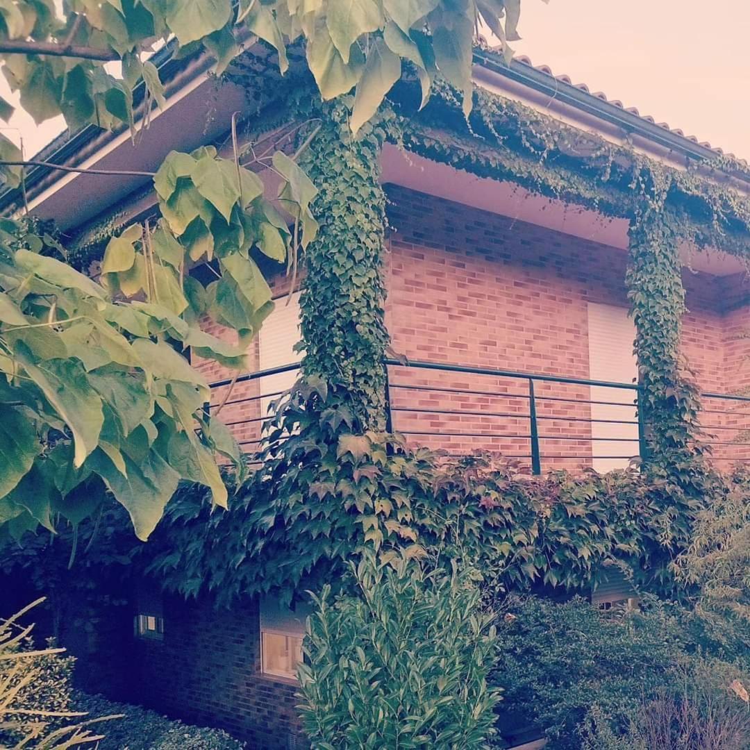 Casa Campo Ao Rio_Village Барселуш Экстерьер фото